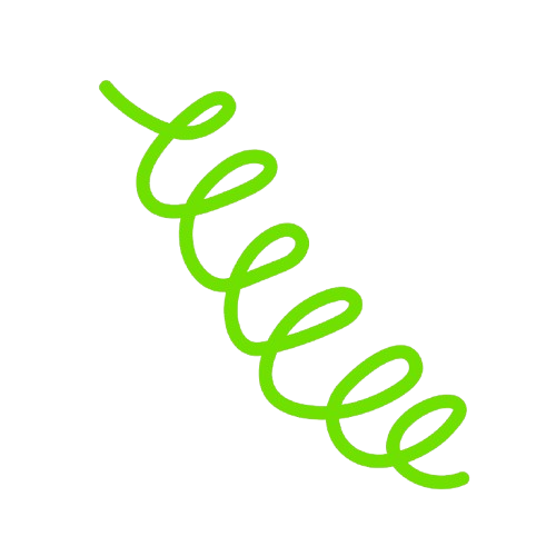 Quiz Spark interactive learning